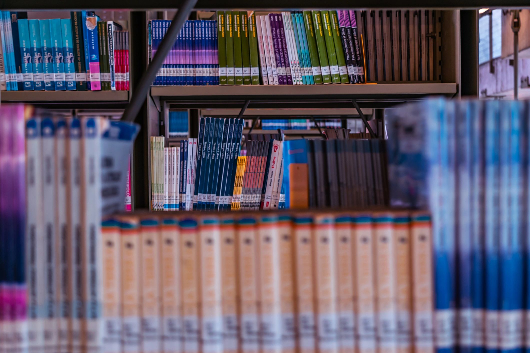 Books on shelves evoking a quiet literary atmosphere
