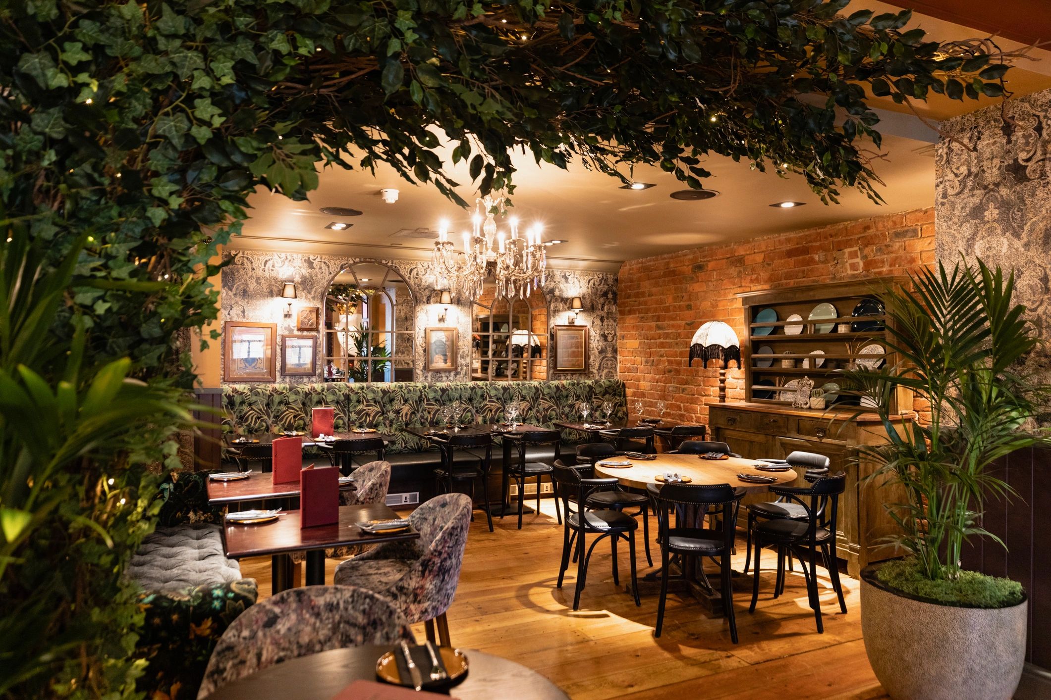 Moody, stylish interior with a refined literary atmosphere